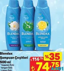 BLENDAX ŞAMPUAN ÇEŞİTLERİ 500 ML
